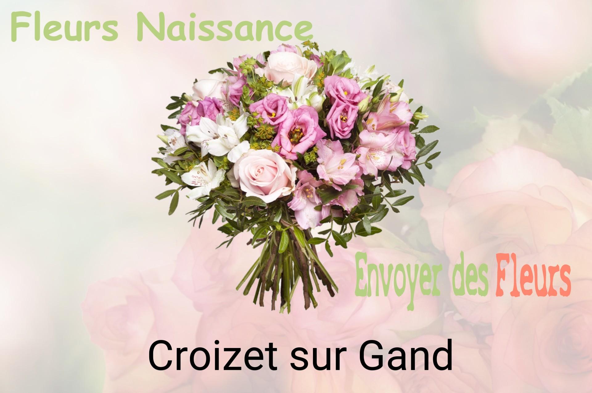 Bouquet de fleurs de naissance livré à Croizet-sur-Gand